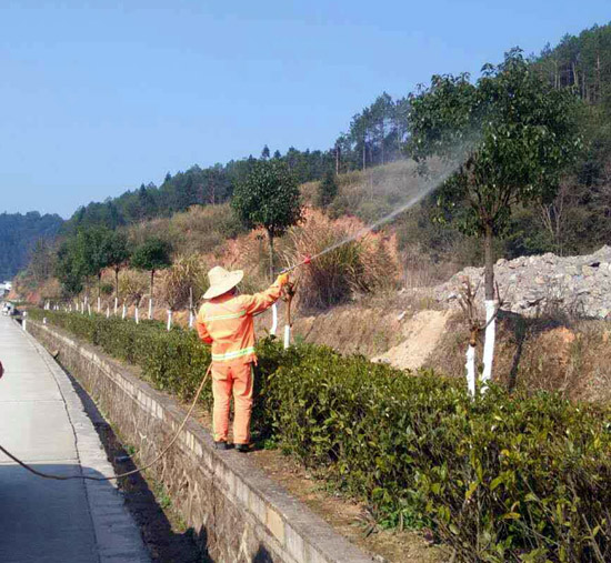 三维植被网价格_荷兰植被 人口