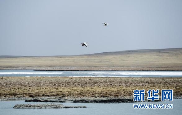 【世界水日】上帝视角带你去看看青海的江湖