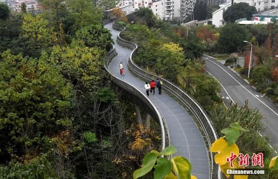 资料图：福州城市森林步道——“福道”。中新社记者 张斌 摄