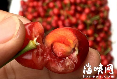 樱桃果核很小，且不易嚼碎、消化